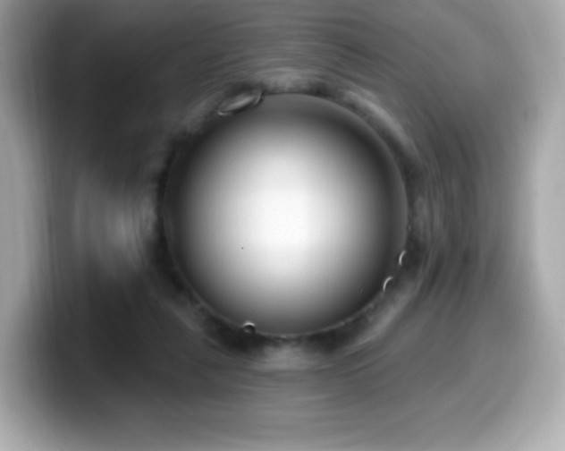 X0000099970259200805231411