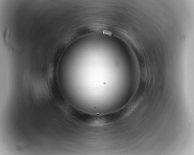 X0000099970263200805231411