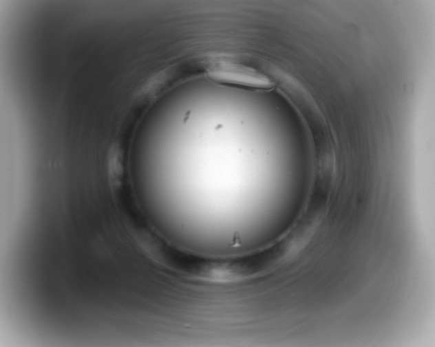 X0000099970264200805231411