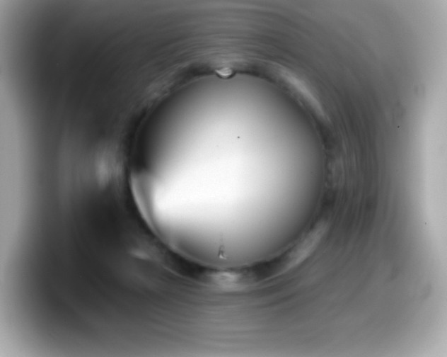 X0000099970265200805231411