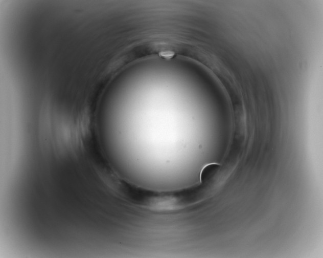 X0000099970266200805231411