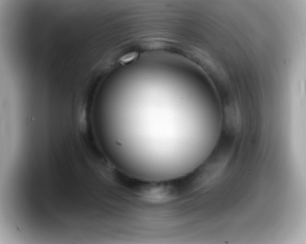X0000099970267200805231411