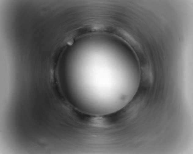 X0000099970269200805231411
