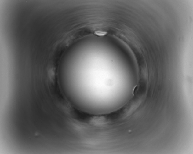 X0000099970271200805231411