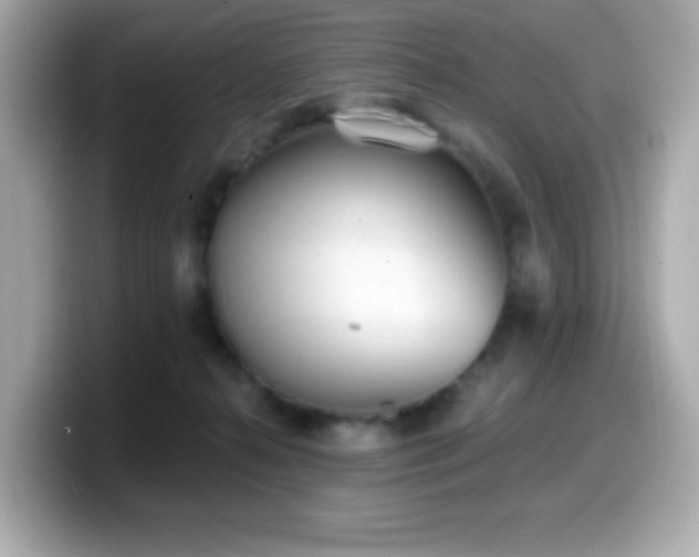 X0000099970272200805231411