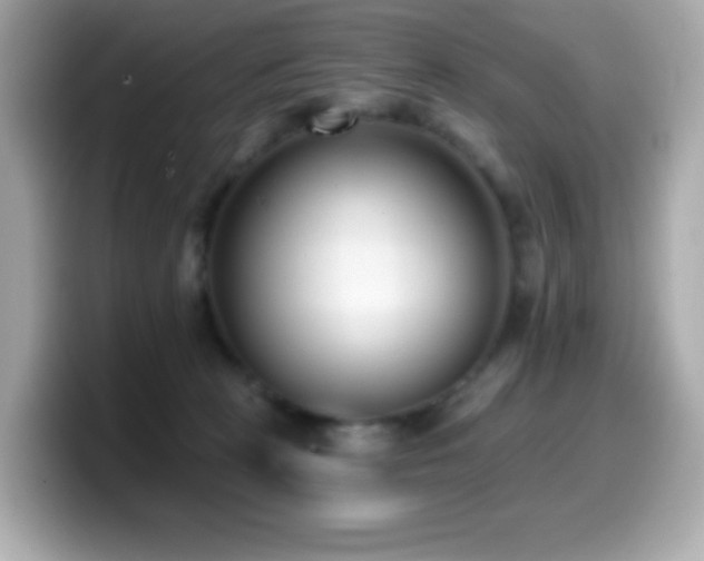 X0000099970273200805231411