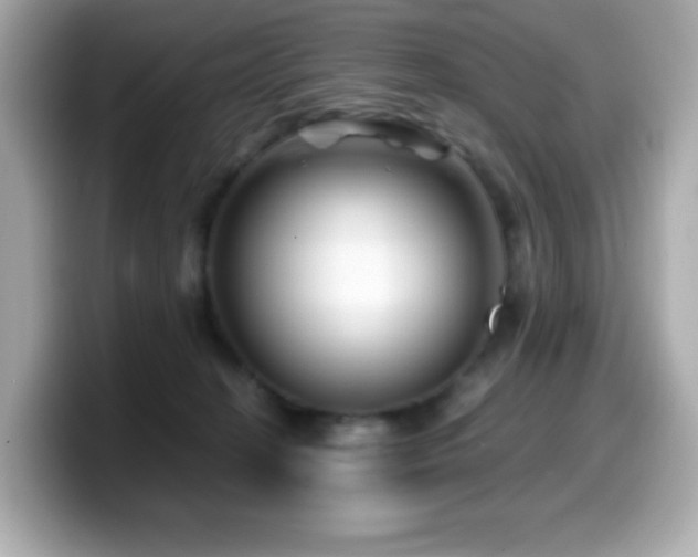 X0000099970274200805231411