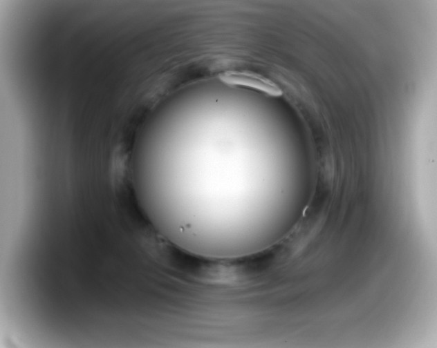 X0000099970276200805231411