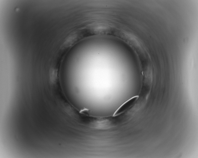 X0000099970278200805231411