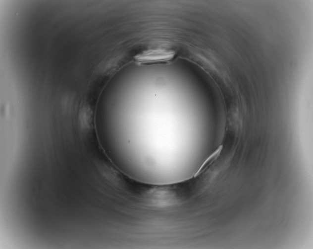 X0000099970280200805231411