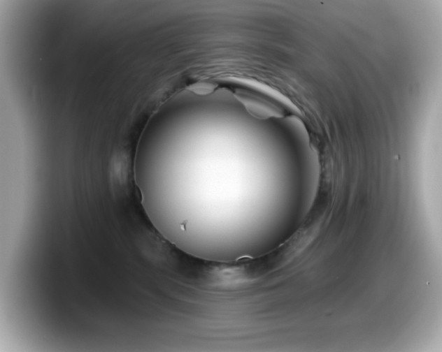 X0000099970283200805231411