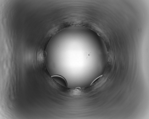 X0000099970287200805231411