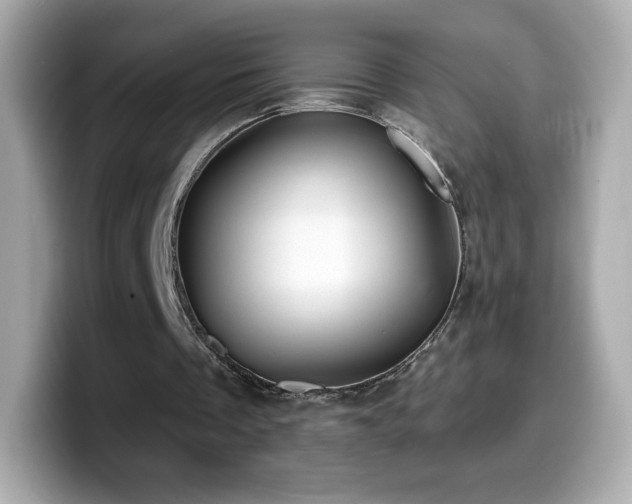 X0000099970289200805231410