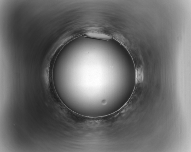 X0000099970291200805231410