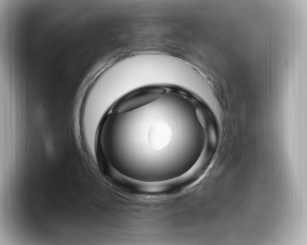 X0000099970293200805231410