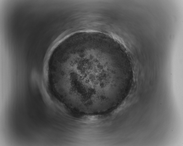 X0000099970295200805231410