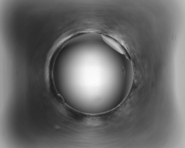 X0000099970296200805231410