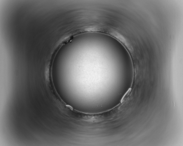 X0000099970297200805231410