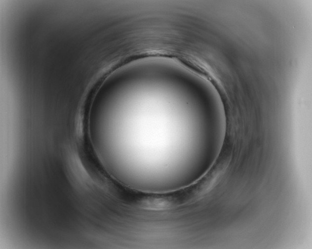 X0000099970299200805231410
