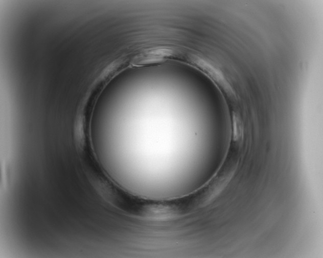 X0000099970300200805231410