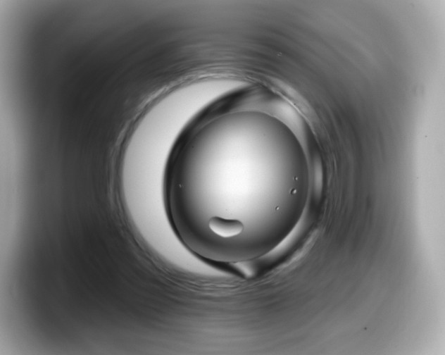 X0000099970301200805231410