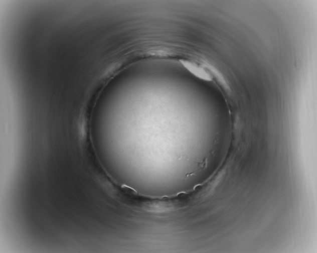 X0000099970305200805231410