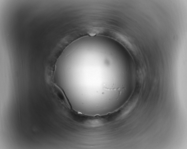X0000099970307200805231410