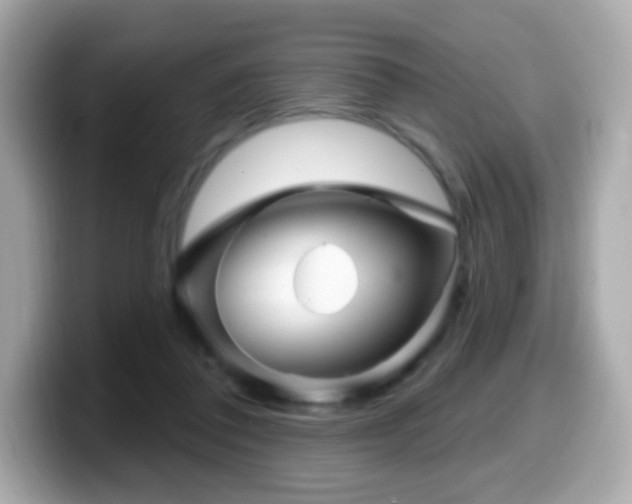 X0000099970308200805231410