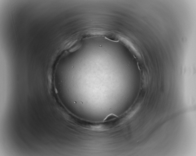 X0000099970309200805231410