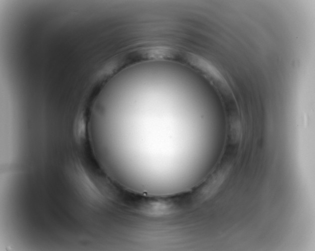 X0000099970310200805231410