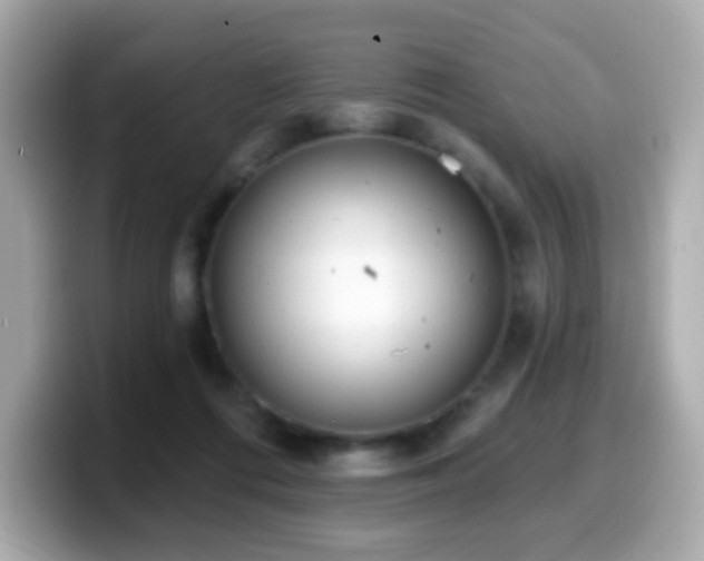 X0000099970312200805231410