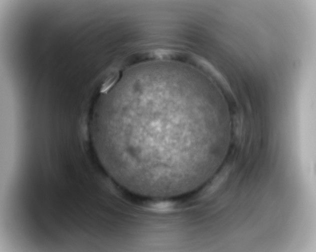 X0000099970313200805231410