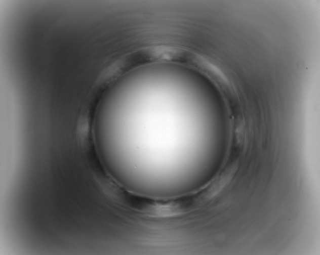 X0000099970314200805231410
