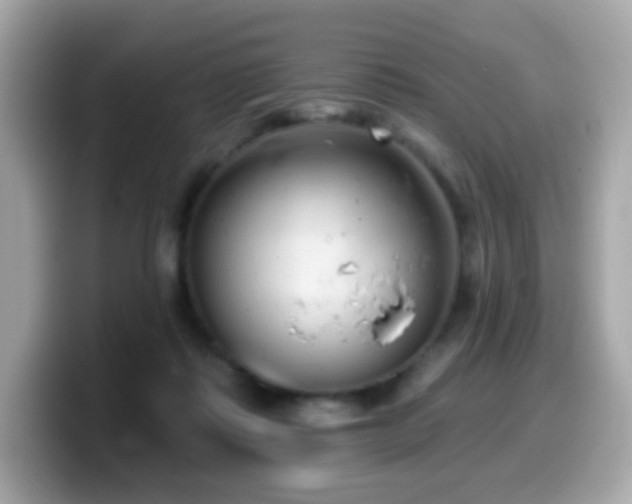 X0000099970315200805231410