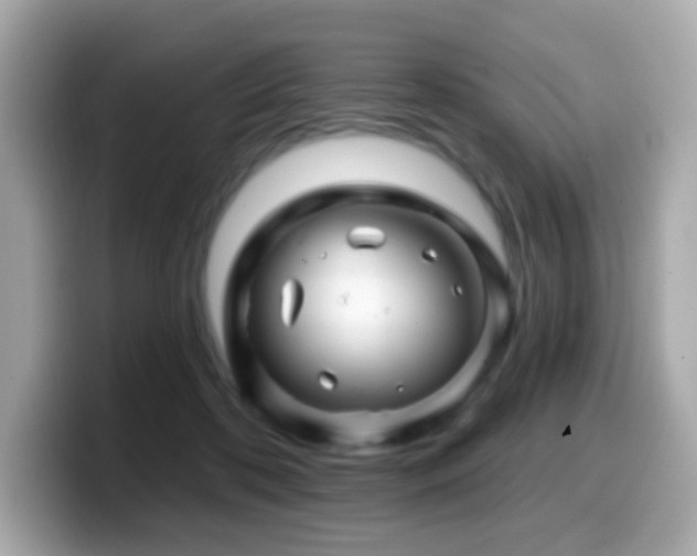 X0000099970316200805231410