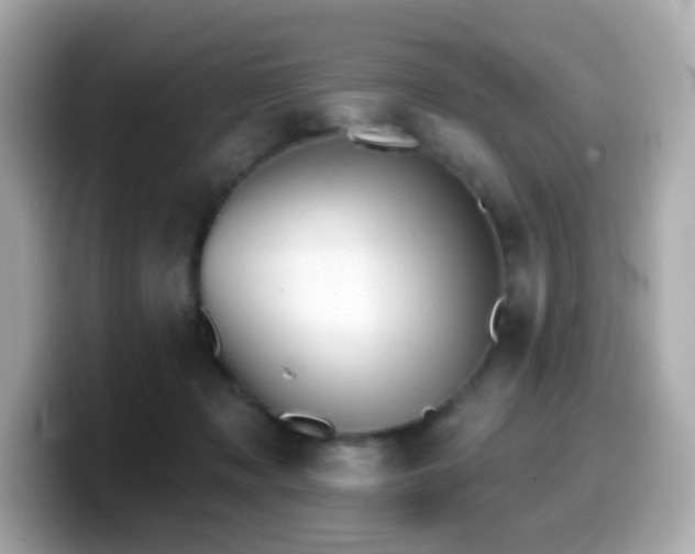 X0000099970317200805231410