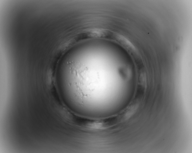 X0000099970318200805231410