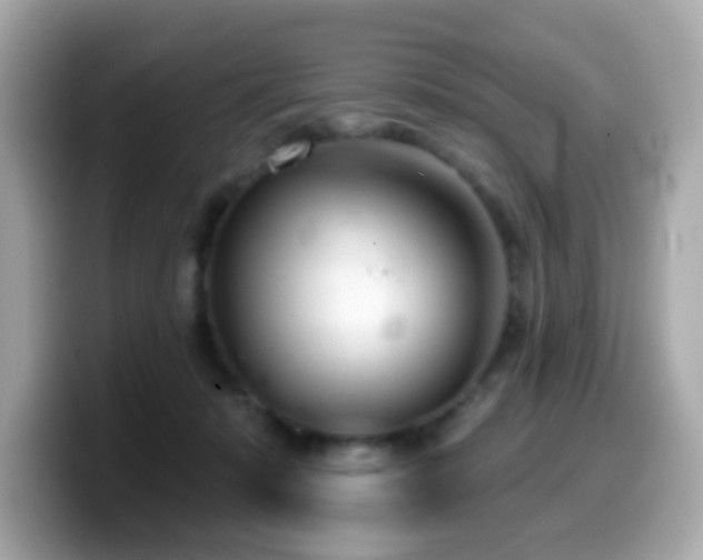 X0000099970319200805231410