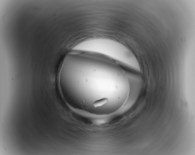 X0000099970320200805231410