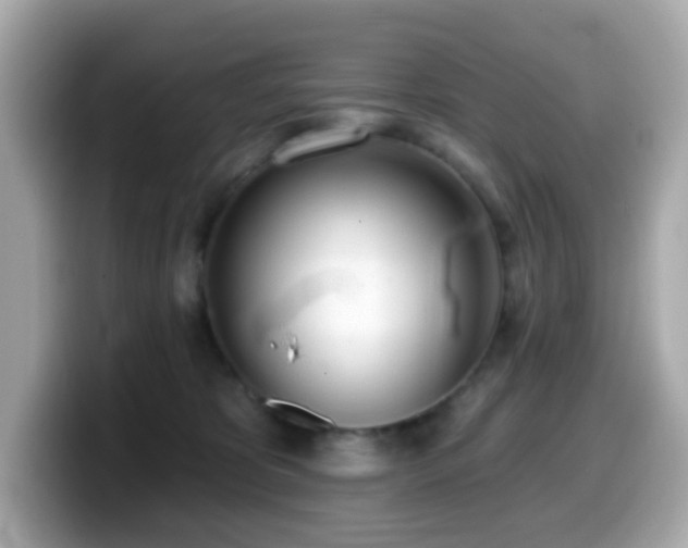 X0000099970325200805231410