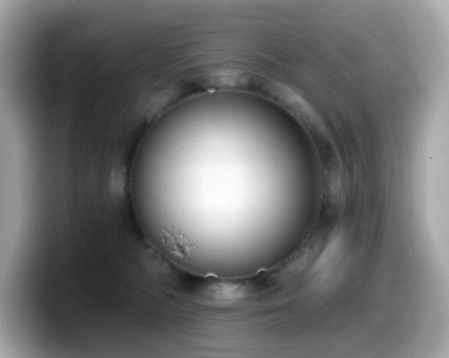 X0000099970326200805231410