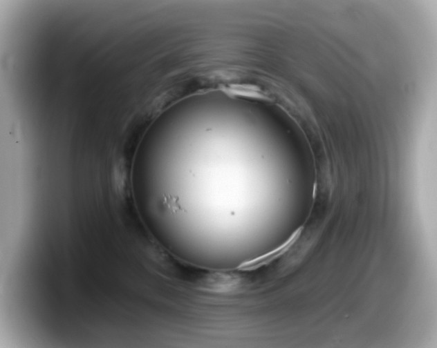 X0000099970328200805231410