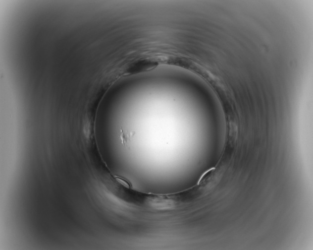 X0000099970331200805231410