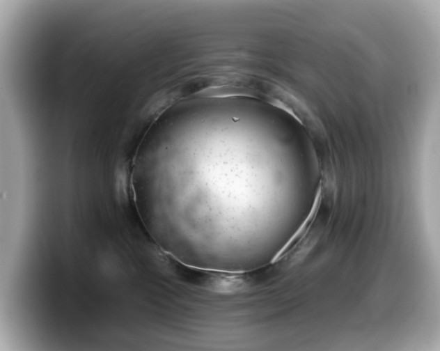 X0000099970333200805231410