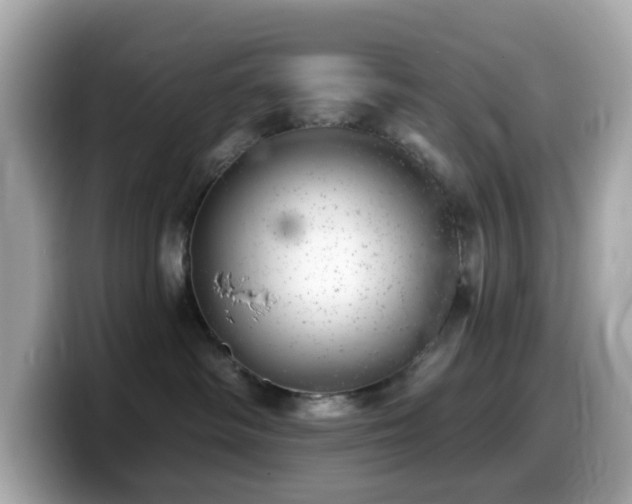 X0000099970334200805231410