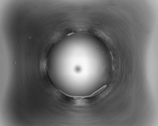 X0000099970336200805231410