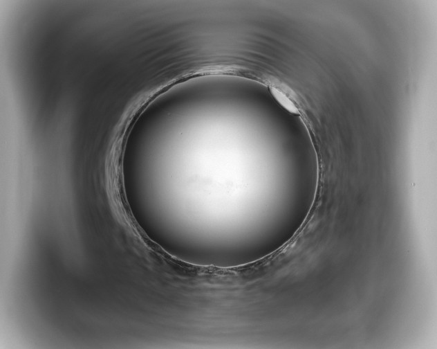 X0000099970337200805231409