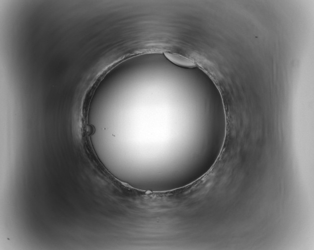 X0000099970338200805231409