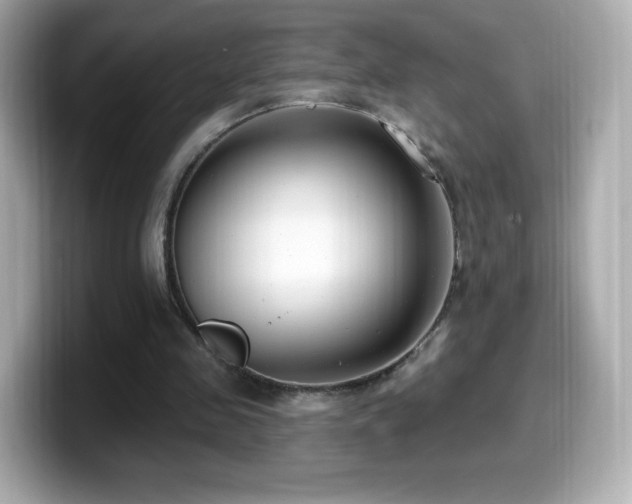 X0000099970341200805231409