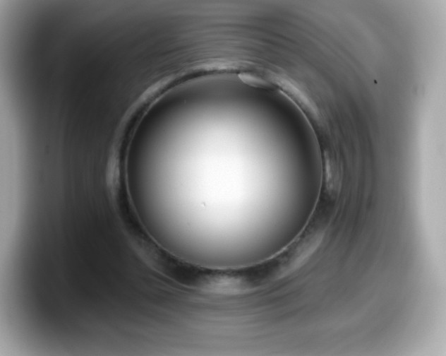 X0000099970348200805231409